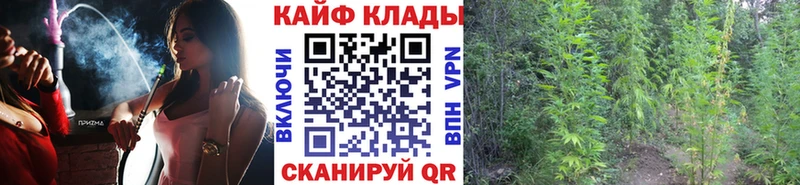 Купить закладку Верхняя Пышма ГАШ КОКАИН Меф Codein Бошки Шишки
