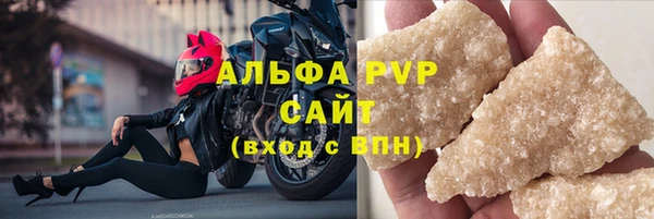 эйфоретик Богданович