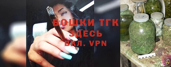 прущие крисы Бородино