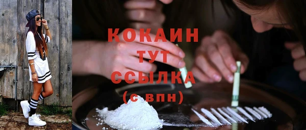 эйфоретик Богданович