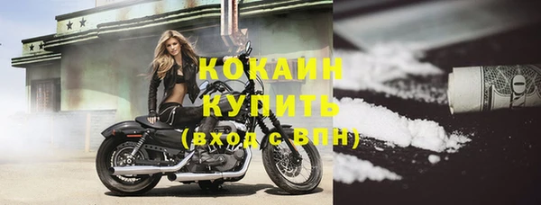 прущие крисы Бородино