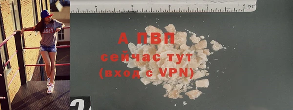прущие крисы Бородино