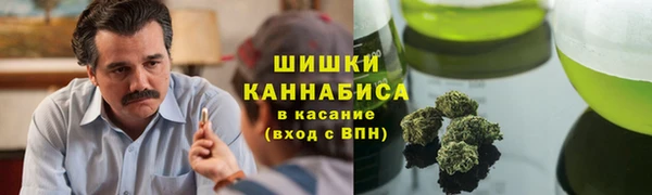 PSILOCYBIN Валдай