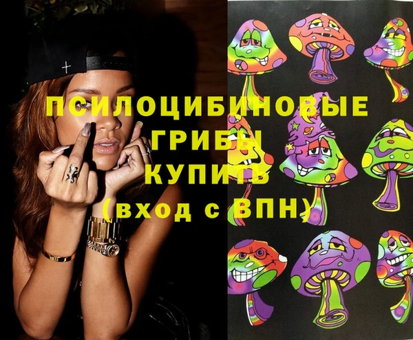 эйфоретик Богданович