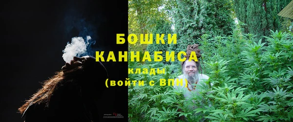 прущие крисы Бородино