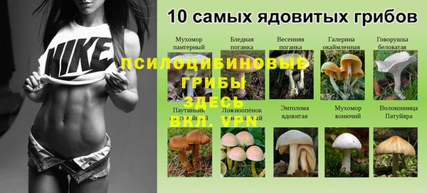 не бодяженный Богородск