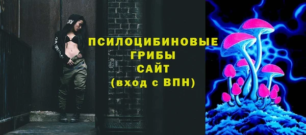 эйфоретик Богданович
