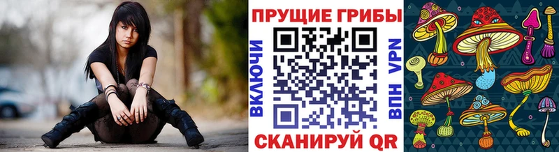 Псилоцибиновые грибы мицелий  Верхняя Пышма 